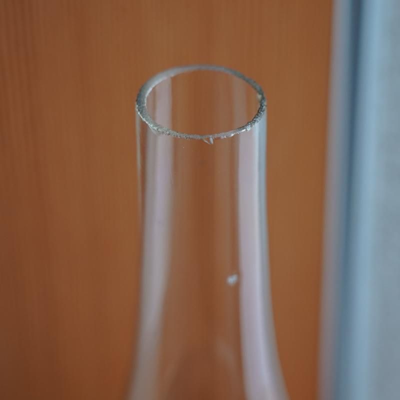 vickey'72 / wired lantern02-D - RHINES