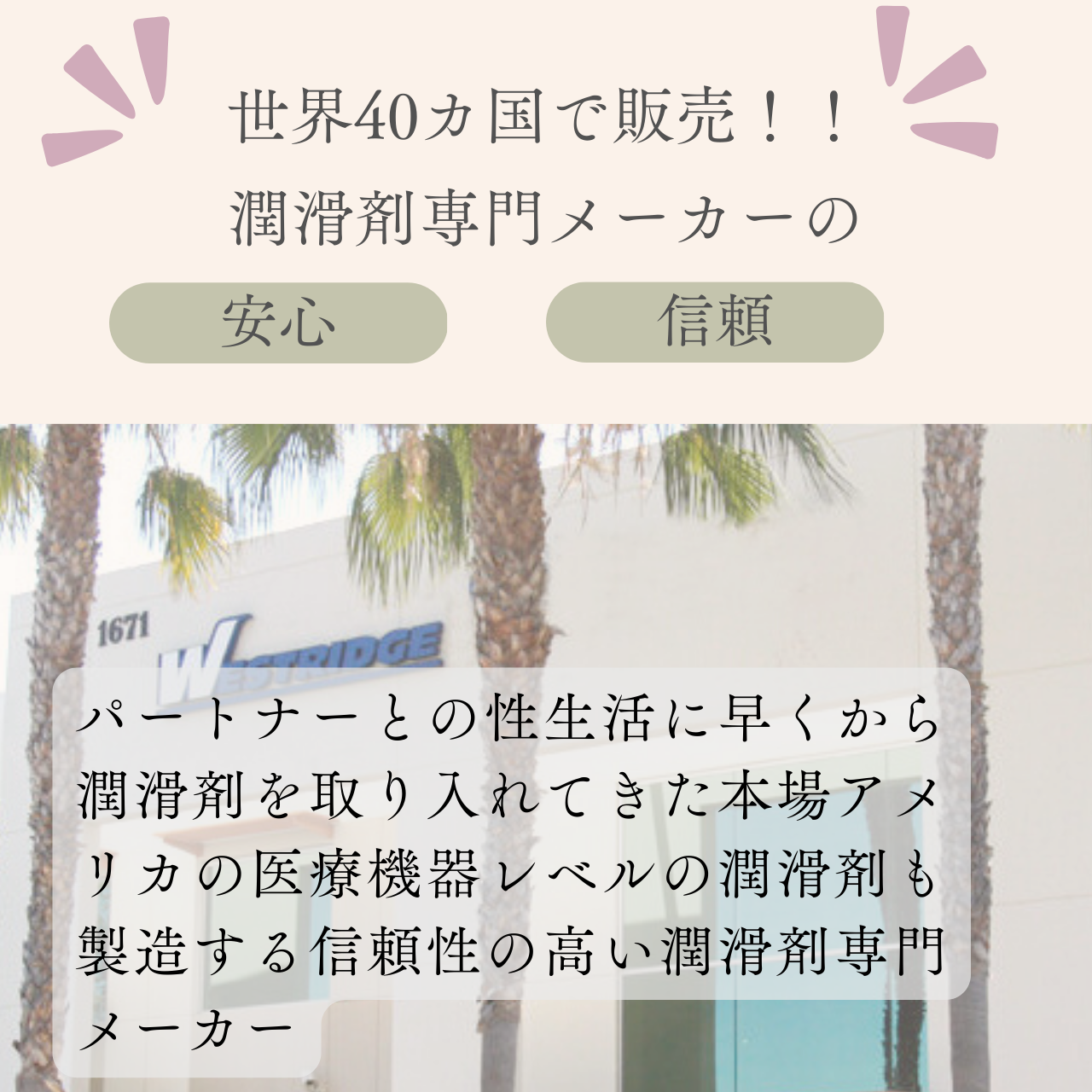 ǥ륯¤᡼ξҲ