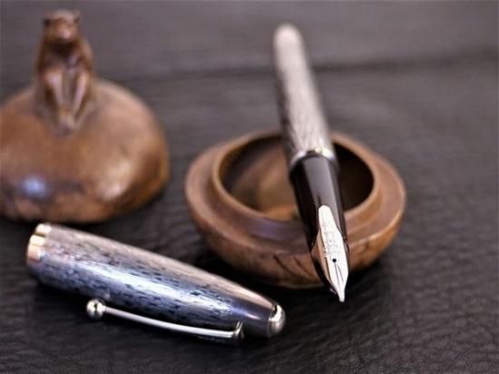 パイロットシルバーン石だたみ万年筆 細字 FK-5MS-ID-F パイロット シルバーン FK-5MS-ID [石だたみ] (万年筆) 価格比較