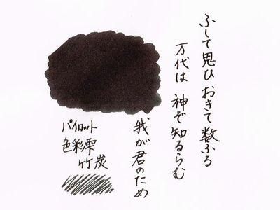 万年筆談話室 森 睦 氏プロデュース<br>Tono&Lims製「樹海-その