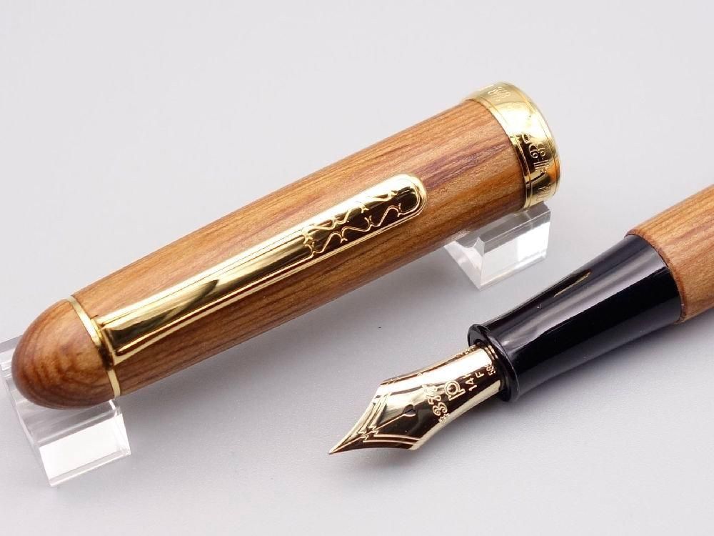新品)PLATINUM プラチナ 万年筆 #3776 センチュリー 屋久杉