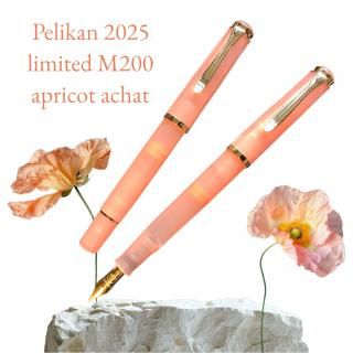  ǯɮ 饷å M200 ץꥳåȥ