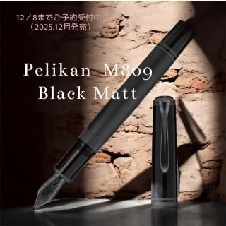 <img class='new_mark_img1' src='https://img.shop-pro.jp/img/new/icons11.gif' style='border:none;display:inline;margin:0px;padding:0px;width:auto;' />ͽ桡ʥ٥졼 M809֥åޥå(12/8)