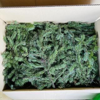 <img class='new_mark_img1' src='https://img.shop-pro.jp/img/new/icons5.gif' style='border:none;display:inline;margin:0px;padding:0px;width:auto;' />̳ƻߤλ 礭ܥå (ѡ