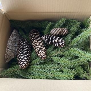 <img class='new_mark_img1' src='https://img.shop-pro.jp/img/new/icons5.gif' style='border:none;display:inline;margin:0px;padding:0px;width:auto;' />ߤȤܤäΥåȥܥå (ѡ