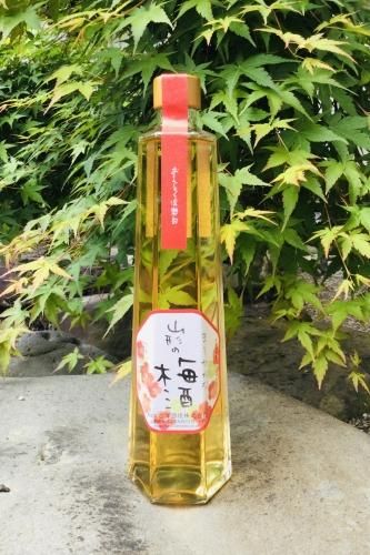 おもしろ倶楽部 まろやかな山形の梅酒 500ml 澤正宗 古澤酒造 公式オンラインストア