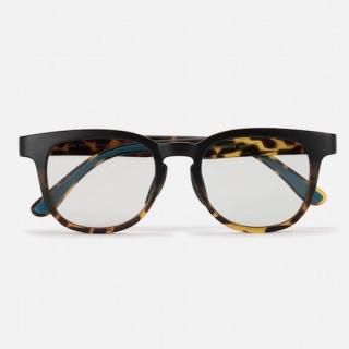 BLAKE Tortoise2/Photochromic Grey