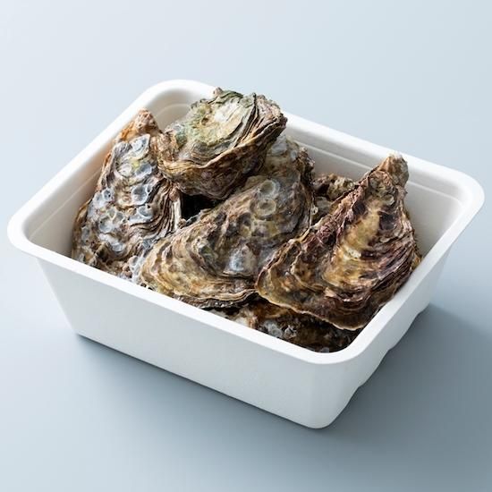 美浄生牡蠣 殻付き15 個 ご贈答用 中野水産 美浄生牡蠣 殻付き15 個 ご贈答用 中野水産