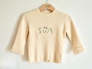 <img class='new_mark_img1' src='https://img.shop-pro.jp/img/new/icons1.gif' style='border:none;display:inline;margin:0px;padding:0px;width:auto;' />Embroidered Rib Knit Pullover