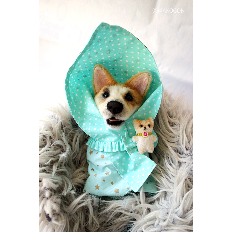 写真で作る 犬 猫のオーダーメイドぬいぐるみ テディペッツ 写真で作る 犬 猫のオーダーメイドぬいぐるみ テディペッツ