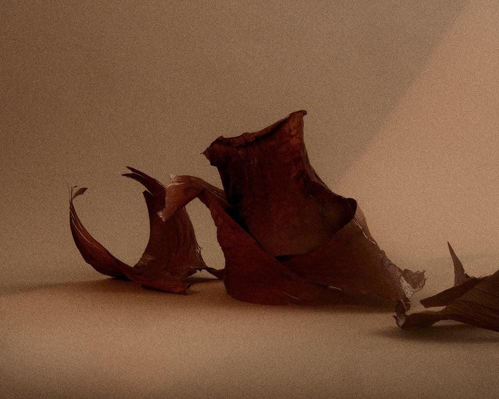 1917 Eau de Parfum 50 ml (sub)