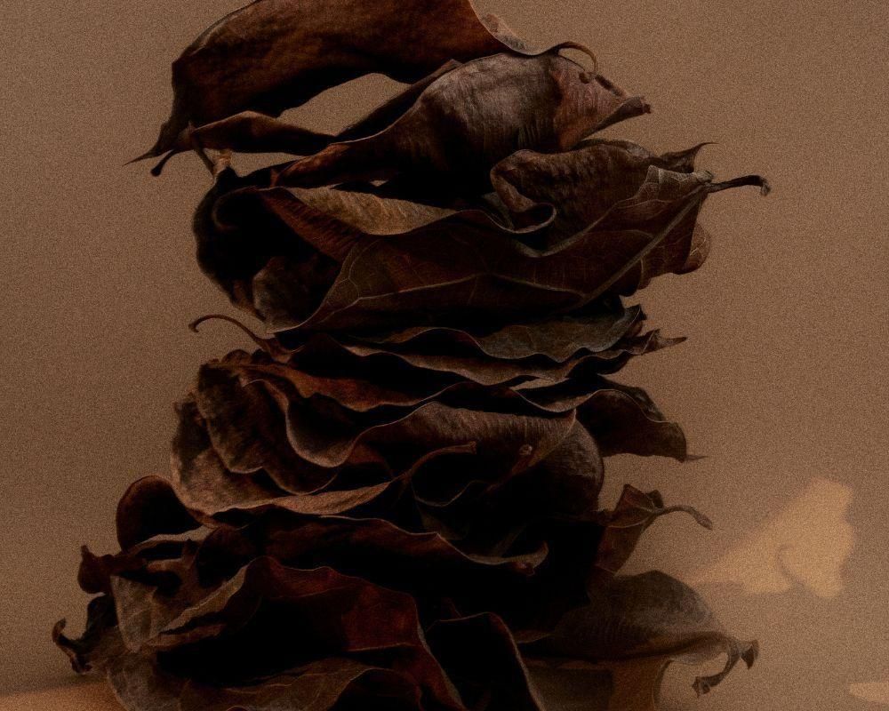 1917 Oil Perfume 10 ml (sub)