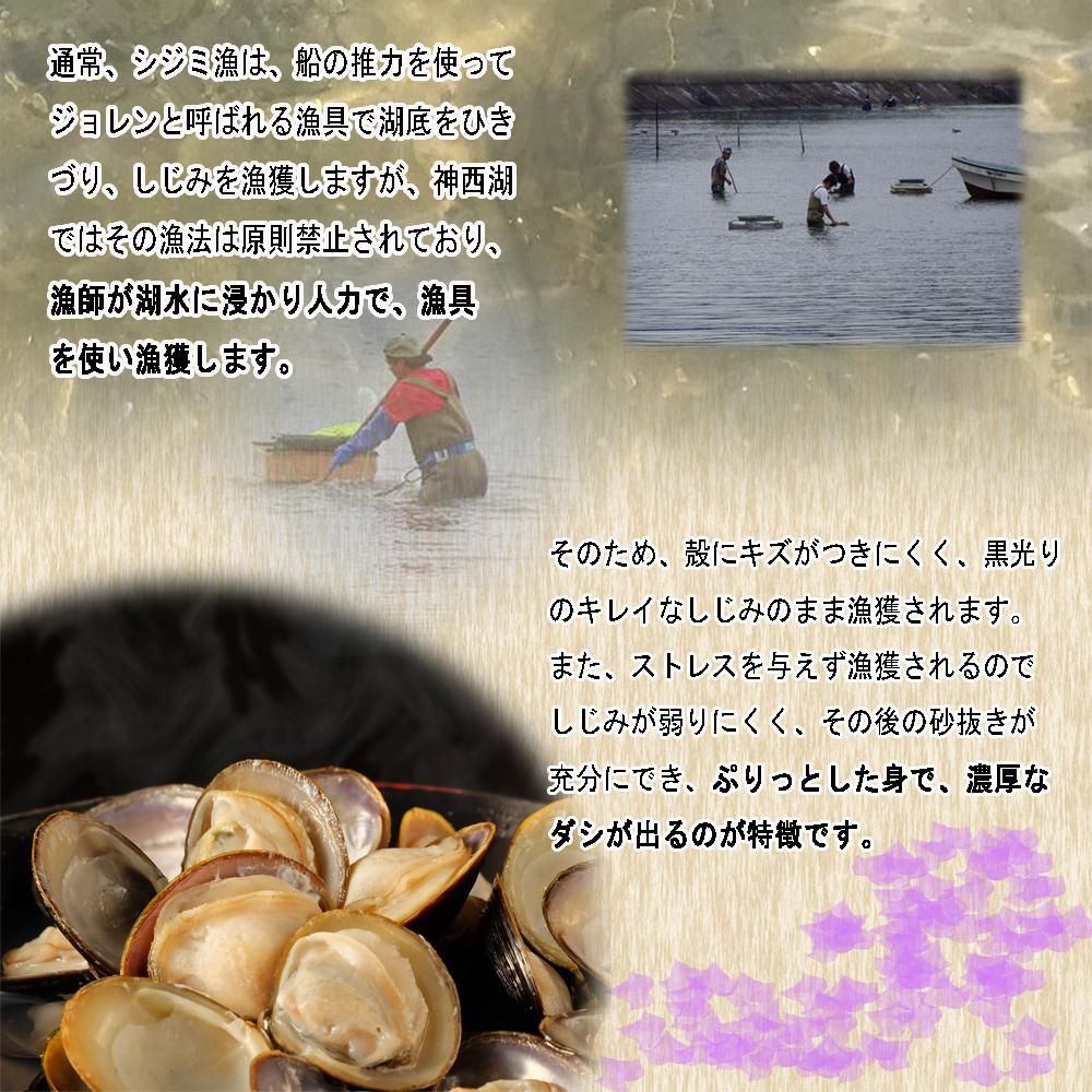 送料無料 神西湖産大和しじみ 味噌汁 5袋セット 送料無料 神西湖産大和しじみ 味噌汁 5袋セット