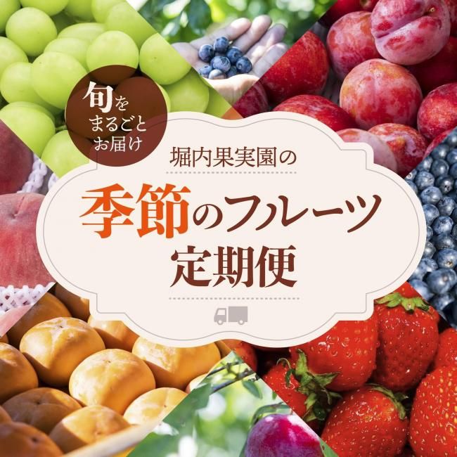 季節のフルーツ定期便12カ月 堀内果実園インターネットショップ
