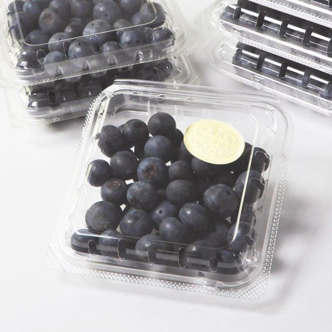 フレッシュブルーベリー お得パック（100g×6P） 【堀内果実園】
