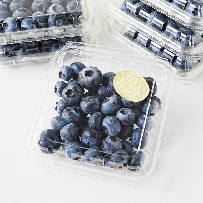 コスメまとめ売り ブルーベリー フレッシュブルーベリー お得パック（90g×6P） 【堀内果実園】