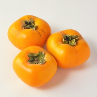 特別栽培 たねなし柿　