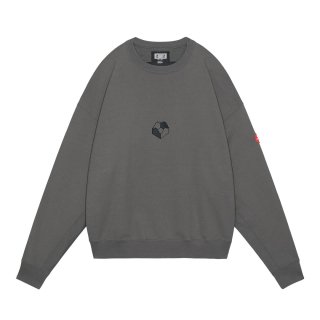 <img class='new_mark_img1' src='https://img.shop-pro.jp/img/new/icons14.gif' style='border:none;display:inline;margin:0px;padding:0px;width:auto;' />C.E/ZIG MODEL CREW NECK(CHARCOAL)