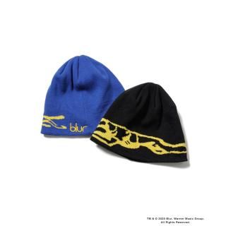 <img class='new_mark_img1' src='https://img.shop-pro.jp/img/new/icons14.gif' style='border:none;display:inline;margin:0px;padding:0px;width:auto;' />F-LAGSTUF-F/ե饰աx blur KNIT CAP