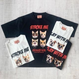 <img class='new_mark_img1' src='https://img.shop-pro.jp/img/new/icons31.gif' style='border:none;display:inline;margin:0px;padding:0px;width:auto;' />˥ޥT ڥ 111955