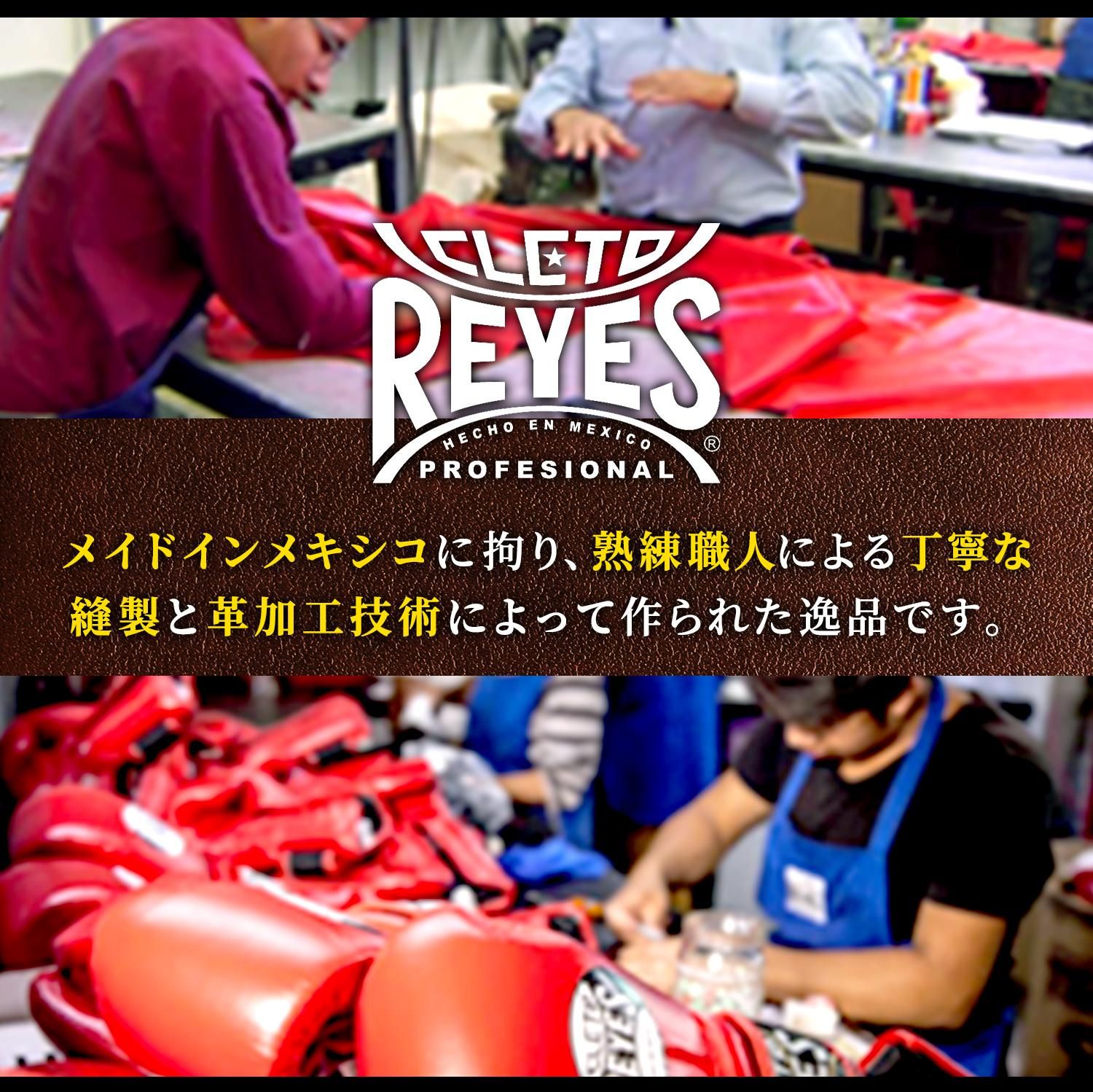 REYES レイジェス　スピードバッグ Skate-Everything™ 'Ninja' Bag – Bustin Boards Co.