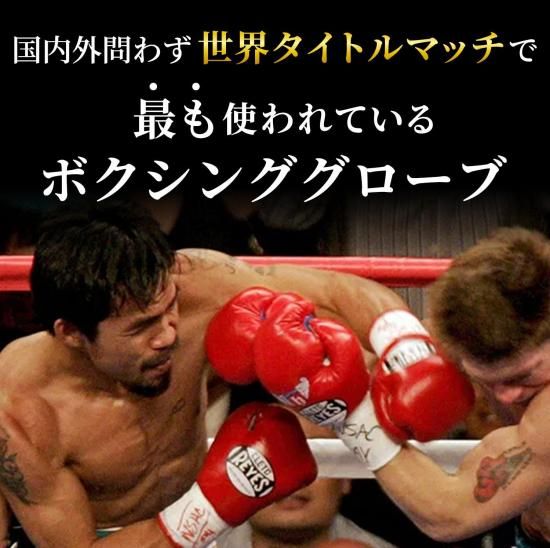 レイジェス(reyes) 競技用公式 グローブ 【プロ用 紐式】 8