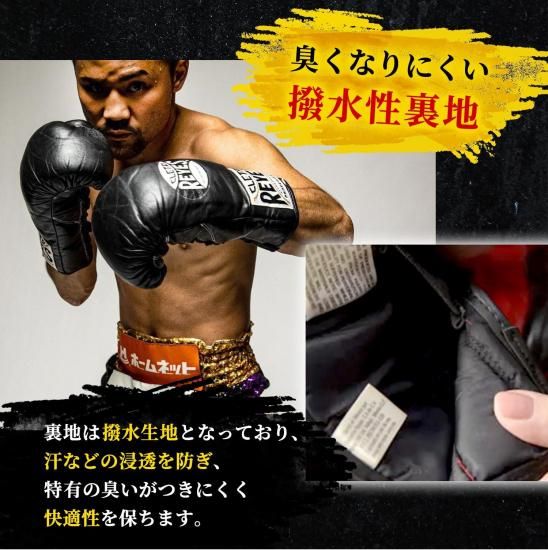 レイジェス(reyes) 耐久性の高い公式用グローブ【セーフテック