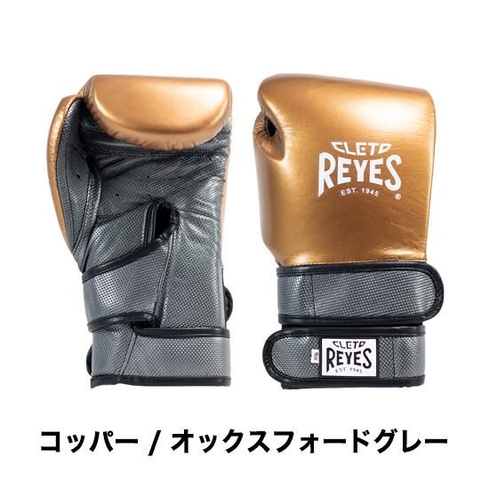レイジェス(reyes) ダブルループ式 スパーリング・トレーニング レイジェス(reyes) ダブルループ式 スパーリング・トレーニング