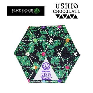 USHIO CHOCOLATL x BLACK SMOKER / BLACK CACAO CBD CHOCOLATE - GREEN 62.5mg 