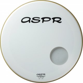 ASPR ST HeadST/SW typeST-250SW/BF Хɥեѥꥢإå