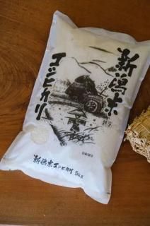 7ǯ 㻺ҥ
