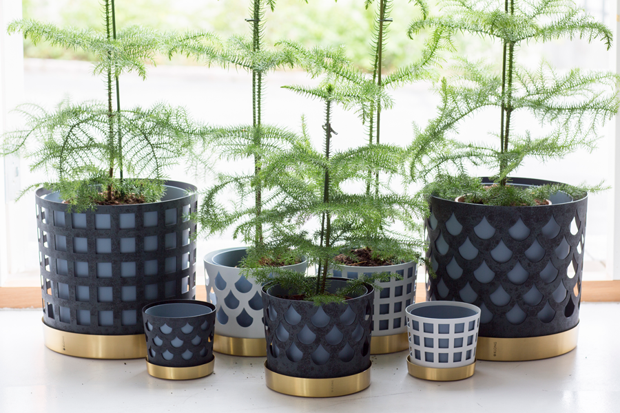 KLONG/TRIO SQUARE FLOWER POT LargeWhite