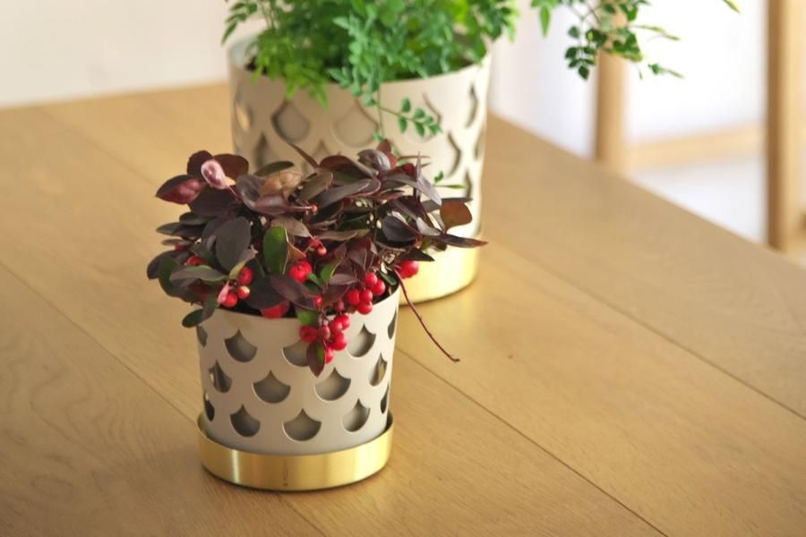 KLONG/TRIO DROP FLOWER POT SmallBeige