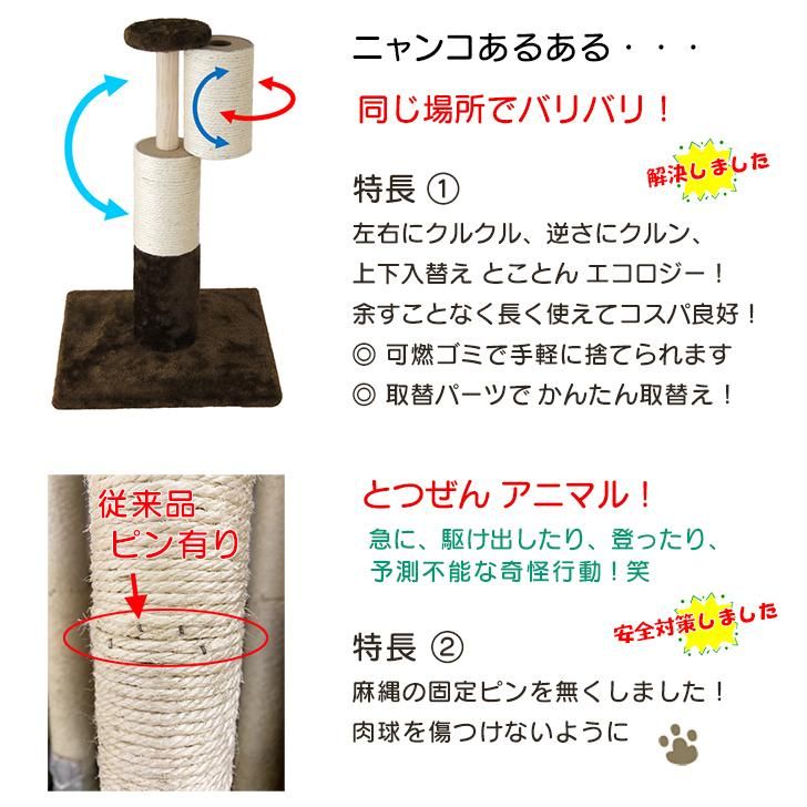 オンリーキャット 差し色