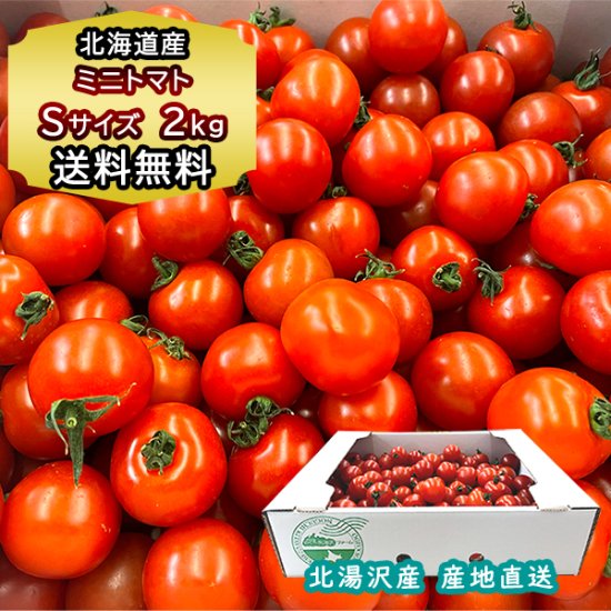 産地直送 トマト ミニトマト 北海道産 ミニトマト Sサイズ 1ケース 2kg