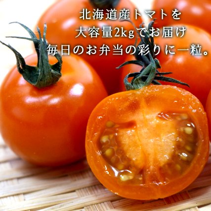 産地直送 トマト ミニトマト 北海道産 ミニトマト Lサイズ 1ケース 2kg