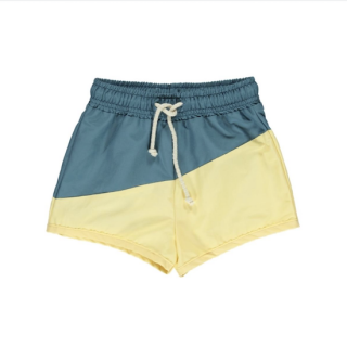 <img class='new_mark_img1' src='https://img.shop-pro.jp/img/new/icons23.gif' style='border:none;display:inline;margin:0px;padding:0px;width:auto;' />fin & vince board shorts / sorbetの商品画像