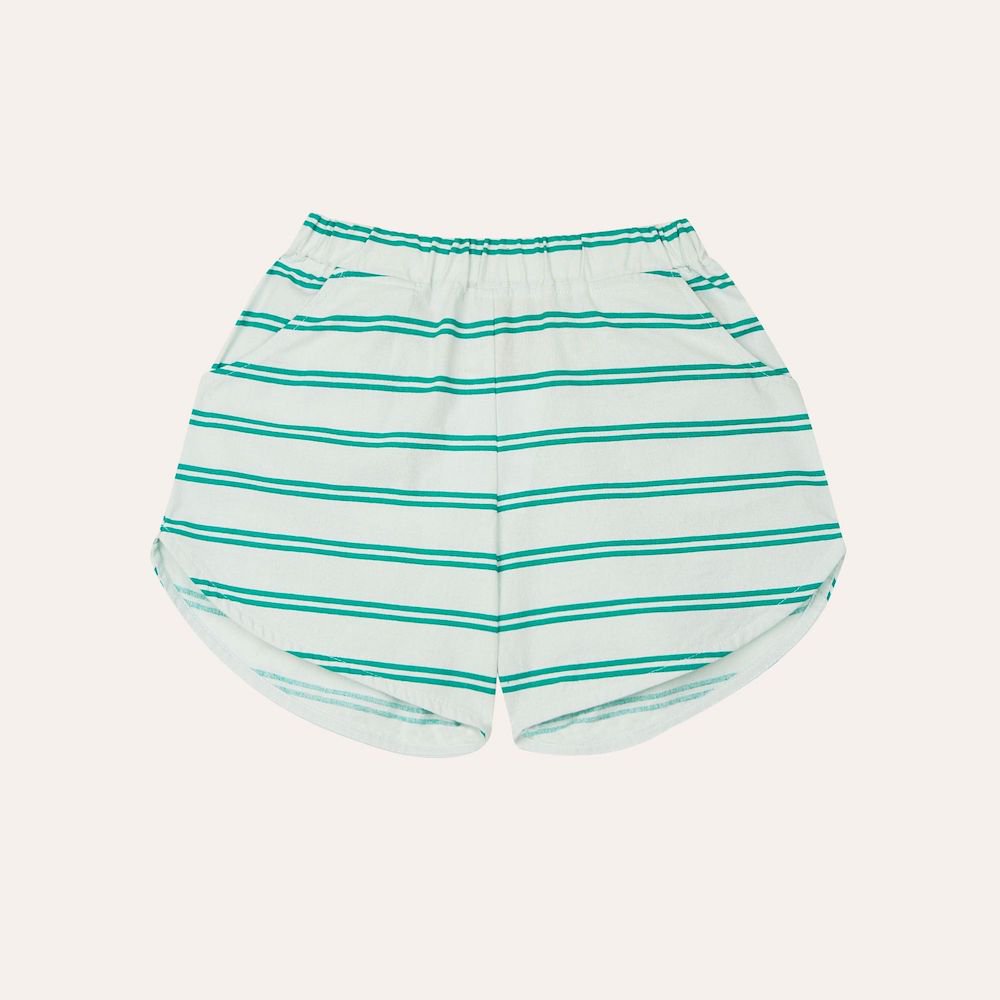 <img class='new_mark_img1' src='https://img.shop-pro.jp/img/new/icons10.gif' style='border:none;display:inline;margin:0px;padding:0px;width:auto;' />the campamento Striped Shortの商品画像