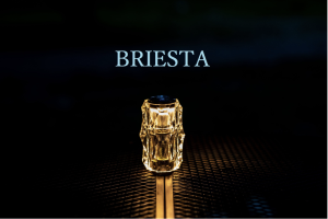 BRIESTA