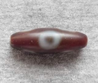 チベット天珠(五眼天珠2)