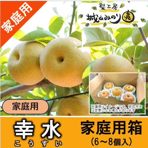 【梨】幸水⭐︎ご家庭用⭐︎箱込13.5kg 幸水（こうすい）家庭用手提箱｜梨の生産量日本一の千葉県からお届け