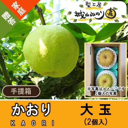 かおり梨(大玉)約1.8kg/2玉|梨の生産量日本一の千葉県からお届け