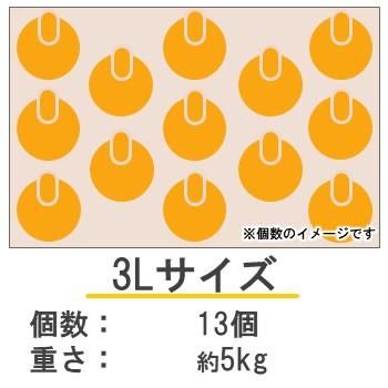 ͥ
