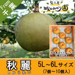 【N-G6 秋麗 5L-6Lサイズ 7-10玉入 \4500】 城山みのり園 おいしい梨ランキング