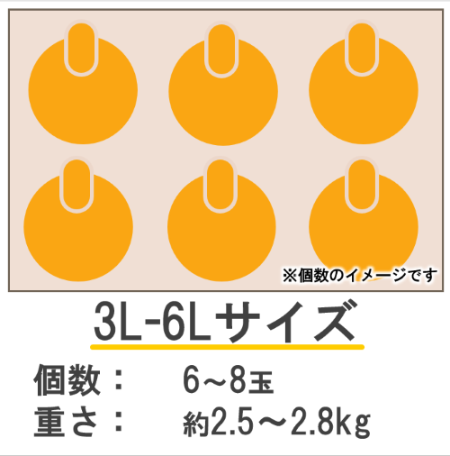 ͥ