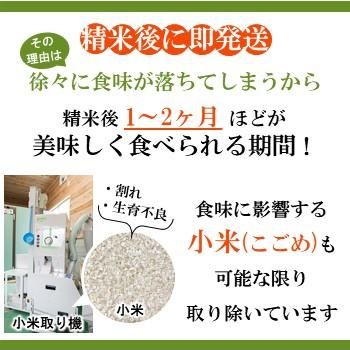 笑みの絆 精米 5kg｜寿司専用米の笑みの絆で納得の味に