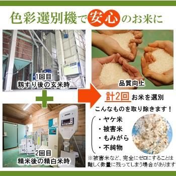 コシヒカリ 精米 5kg 米の生産量全国9位の千葉県からアグリスリーのコシヒカリをお届け