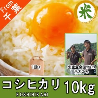 【O-D3 コシヒカリ 精米 10kg】 普段使いの米 千葉県