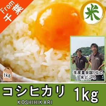 コシヒカリ 精米 1kg|米の生産量全国9位の千葉県からアグリ コシヒカリ 精米 1kg|米の生産量全国9位の千葉県からアグリ