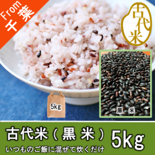 【O-G5 古代米-黒米 5kg】健康食 玄米 もちもち食感